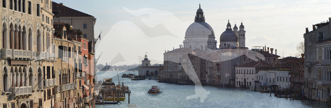 Carta di Venezia 2014 - Modello di Schermo